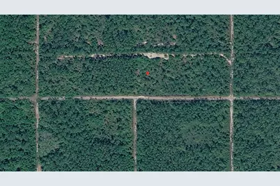 21-10-28-2775-00040-1020 Olson Street, Hastings, FL 32145 - Photo 3