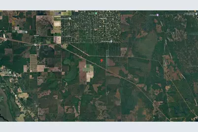 21-10-28-2775-00040-1020 Olson Street, Hastings, FL 32145 - Photo 5
