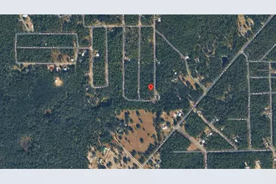 169 E Lura Lane, Florahome, FL 32140 - Photo 5
