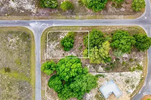 Guava Terrace, Ocklawaha, FL 32179 - Photo 1