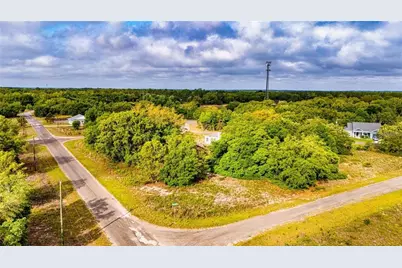 Guava Terrace, Ocklawaha, FL 32179 - Photo 3