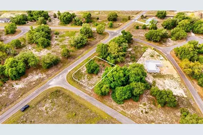 Guava Terrace, Ocklawaha, FL 32179 - Photo 7