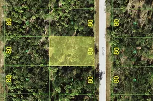 3143 Olney St, Port Charlotte, FL 33948 - Photo 1