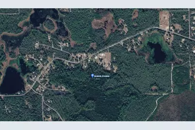 Georgetown Denver Point Road, Georgetown, FL 32139 - Photo 3