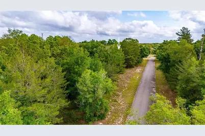Magnolia Drive, Ocklawaha, FL 32179 - Photo 9