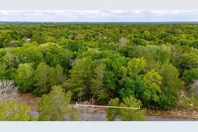 Magnolia Drive, Ocklawaha, FL 32179 - Photo 3