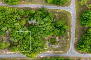Magnolia Dr, Ocklawaha, FL 32179 - Photo 1