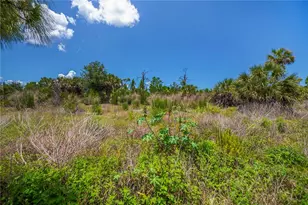 6796 Gasparilla Pines Blvd, Englewood, FL 34224 - Photo 57