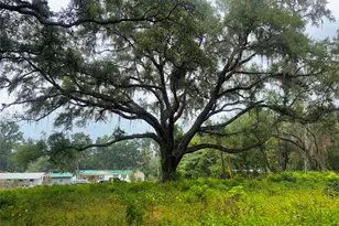 6360 SE 145th Pl, Summerfield, FL 34491 - Photo 1