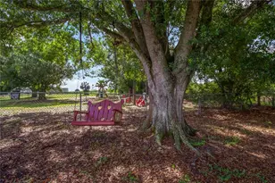 7597 SE Hwy 31, Arcadia, FL 34266 - Photo 39