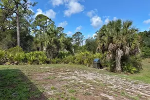 1213 Casper St, Port Charlotte, FL 33953 - Photo 45