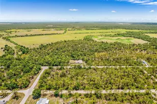 27491 Las Lomas Dr, Punta Gorda, FL 33955 - Photo 29