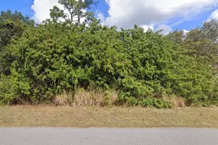 Lot 19 E Hillsborough Blvd, North Port, FL 34288 - Photo 1