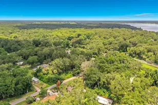1880 Cr 422, Lake Panasoffkee, FL 33538 - Photo 43