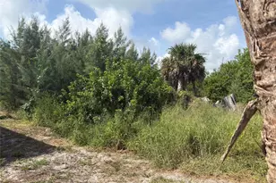 8990 Seagrape Ln, Boca Grande, FL 33921 - Photo 1