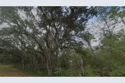 Fisher Way Dr Lot 16, Ocklawaha, FL 32179 - Photo 5