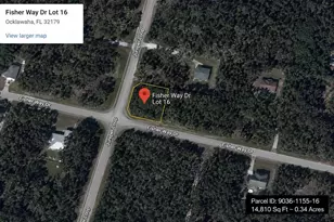 Fisher Way Dr Lot 16, Ocklawaha, FL 32179 - Photo 1