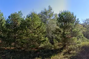 Parkview Lot 13 Dr, Chipley, FL 32428 - Photo 1