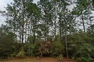 Deltona Blvd, Chipley, FL 32428 - Photo 1
