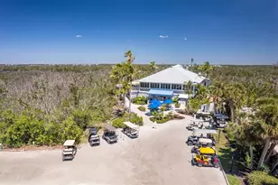 7394 Palm Island Dr, Placida, FL 33946 - Photo 83