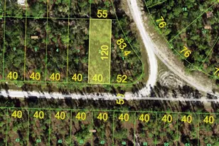 27092 Dubonet Dr, Punta Gorda, FL 33955 - Photo 1