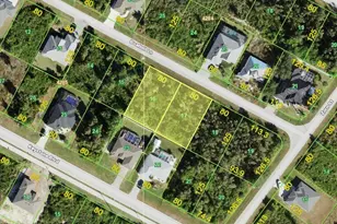 13569 Boatbill Ln, Port Charlotte, FL 33981 - Photo 1