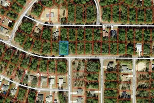 3357 W Cushion Dr, Citrus Springs, FL 34433 - Photo 1
