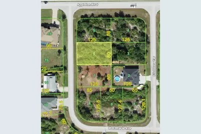 14250 Montmarte Avenue, Port Charlotte, FL 33981 - Photo 5