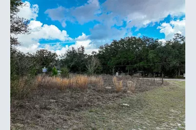 106 NW Fat Cat Court, Lake City, FL 32055 - Photo 7