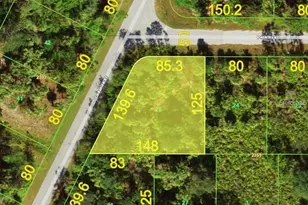 13071 Peck Ave, Port Charlotte, FL 33953 - Photo 1
