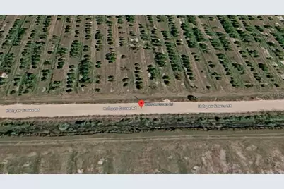 Holopaw Groves Road, Saint Cloud, FL 34773 - Photo 5