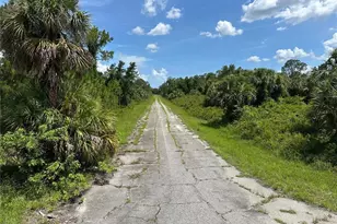 Lot 10 Langlais Dr, North Port, FL 34288 - Photo 3