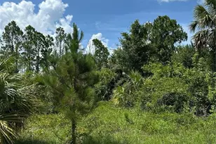Lot 10 Langlais Dr, North Port, FL 34288 - Photo 9