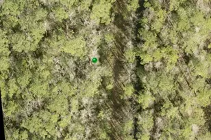 N St, Lake Helen, FL 32744 - Photo 1