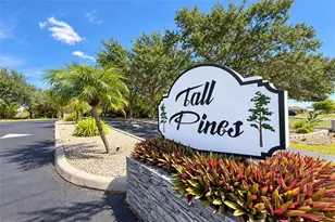 8101 Memory Ln, Rotonda West, FL 33947 - Photo 53