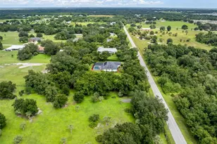 11231 SW Thornton Ave, Arcadia, FL 34269 - Photo 61