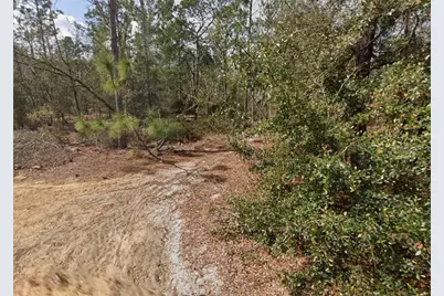 Palm St, Interlachen, FL 32148 - Photo 5