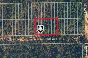 Dade Ave, Interlachen, FL 32148 - Photo 1