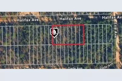 Halifax Ave, Interlachen, FL 32148 - Photo 1