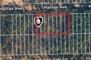Halifax Ave, Interlachen, FL 32148 - Photo 1