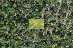 331 N Bonita Ln, Punta Gorda, FL 33982 - Photo 1