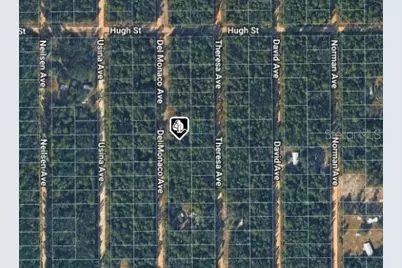 920 Del Monaco Avenue, Interlachen, FL 32148 - Photo 3
