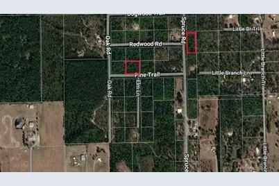 Spruce Road, Interlachen, FL 32148 - Photo 3