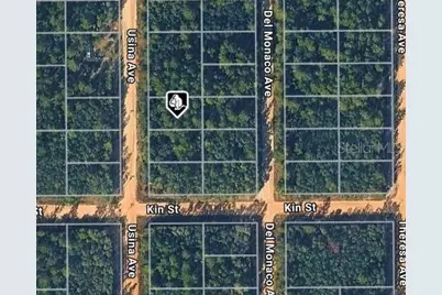 Usina Ave, Interlachen, FL 32148 - Photo 3