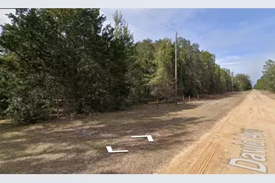 David Ave, Interlachen, FL 32148 - Photo 3