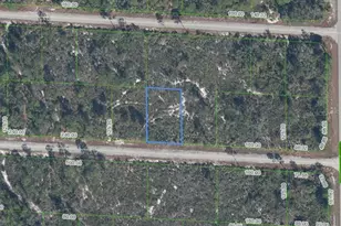 3509 Spoonbill Ave, Lake Placid, FL 33852 - Photo 1