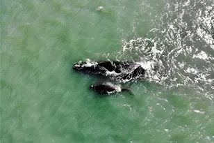 200 Marina Bay Dr, Flagler Beach, FL 32136 - Photo 57