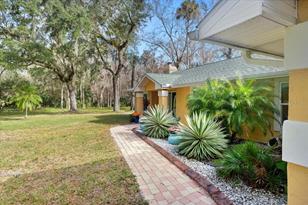 479 Western Rd, New Smyrna, FL 32168