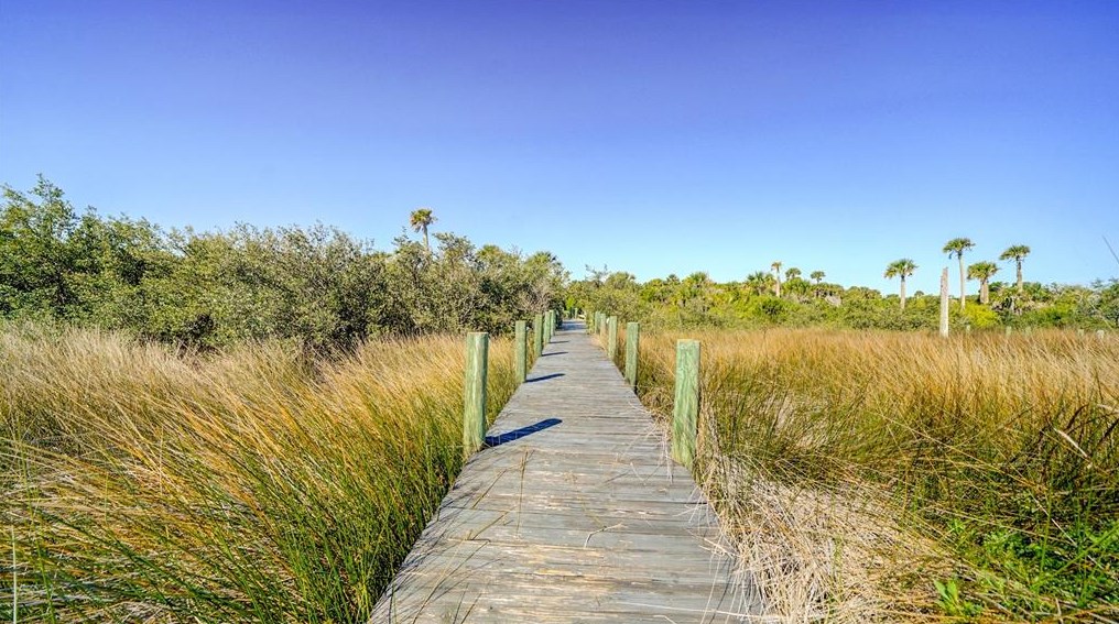 3310 Oceanshore Blvd, Flagler Beach FL  32136-2773 exterior