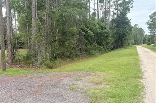 2132 Lancewood St, Bunnell, FL 32110 - Photo 41